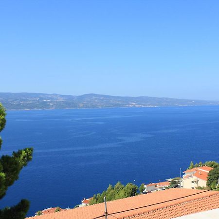 Apartmani Vesna Celina Esterno foto