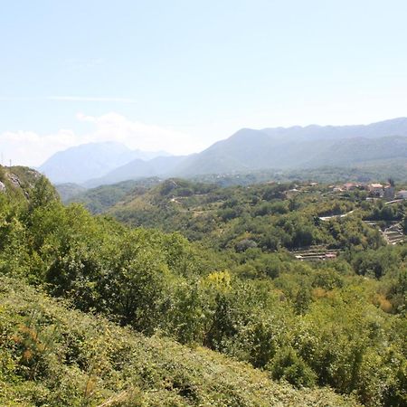 Apartmani Vesna Celina Esterno foto