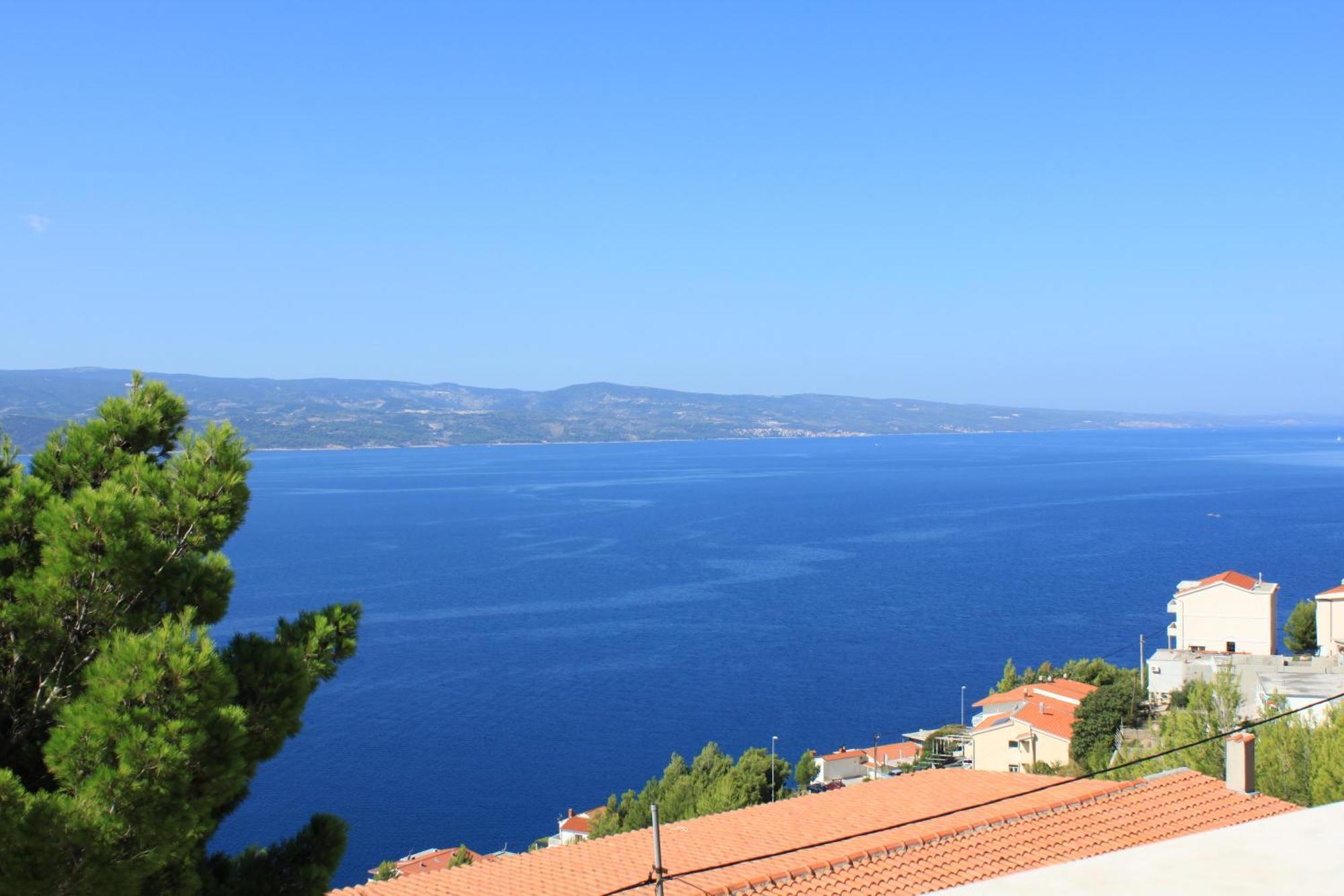 Apartmani Vesna Celina Esterno foto