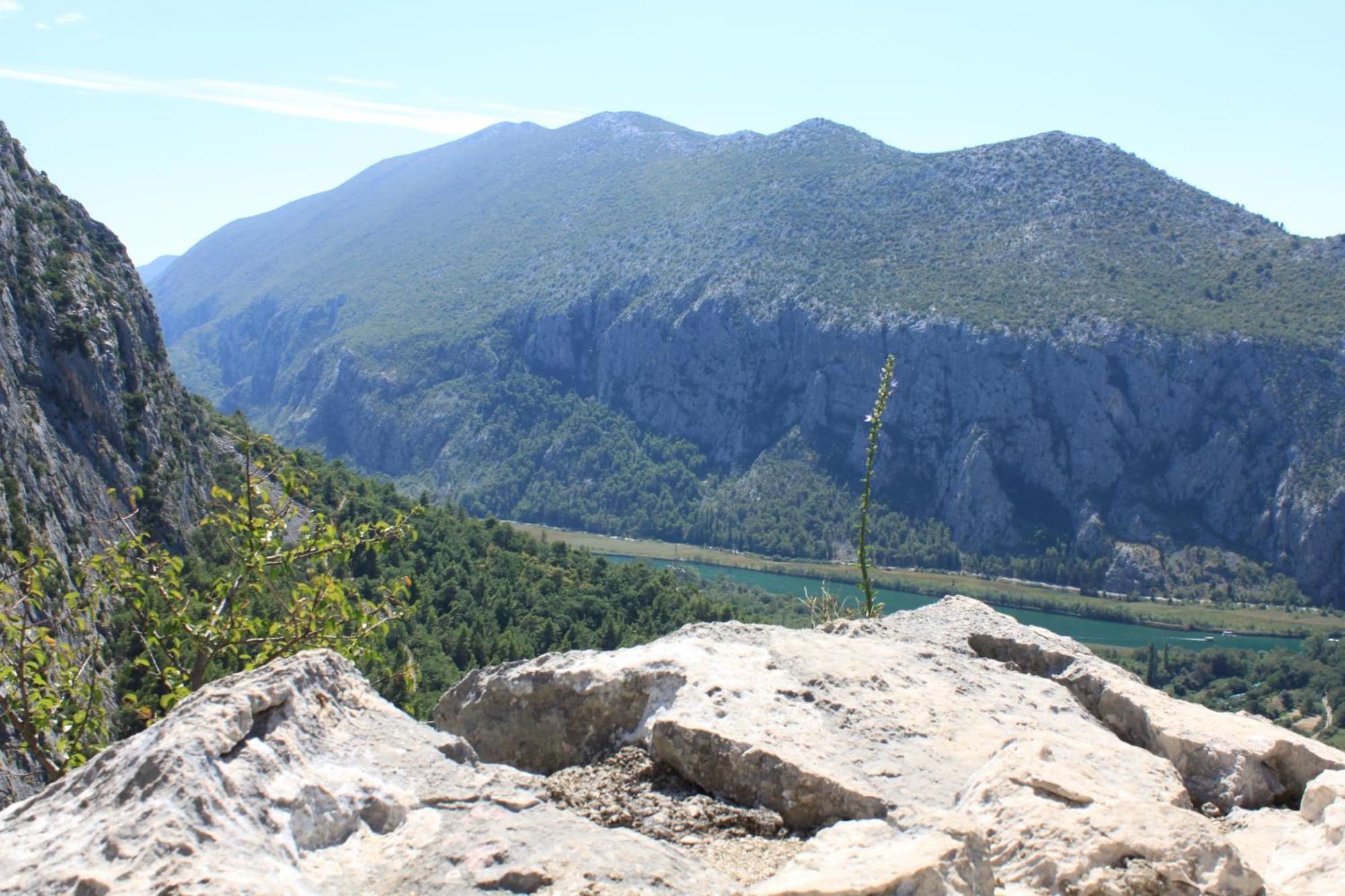 Apartmani Vesna Celina Esterno foto