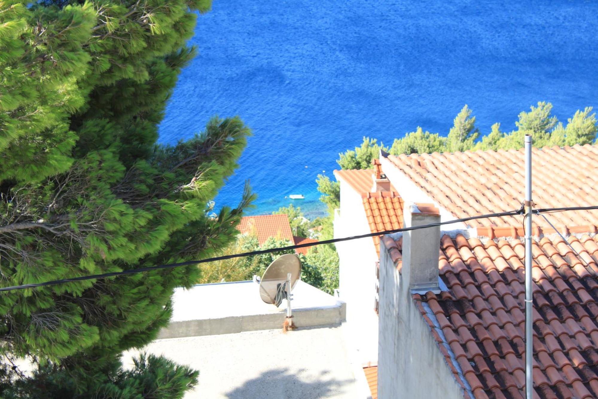 Apartmani Vesna Celina Esterno foto